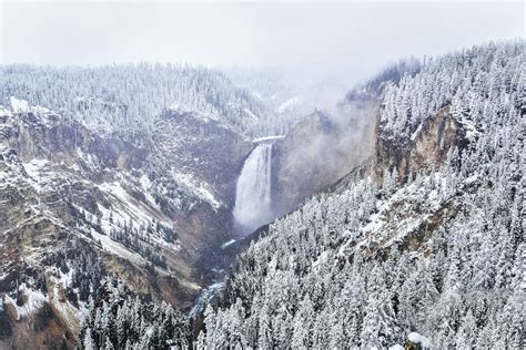 yellowstone national park weather in february